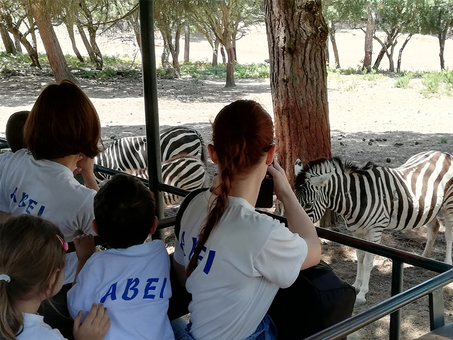 /fileuploads/Instalações e Equipamentos/Quinta dos Bacelos/Actividades/_abei_badoca_parkB.jpg